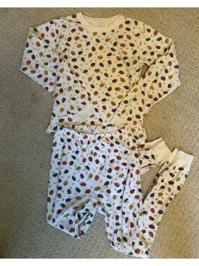 Hannah Anderson Autumn Leaf Pajamas - sz 12